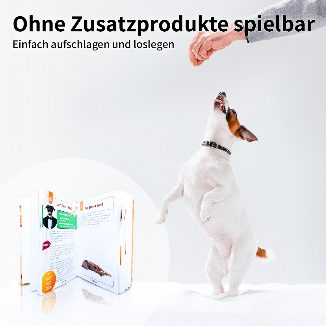 schlaudog's Kunststückfibel
