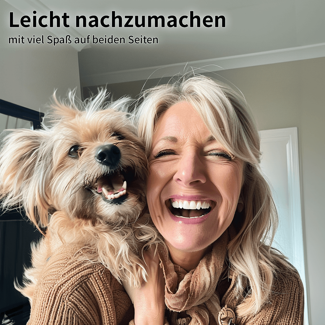 schlaudog's Kunststückfibel