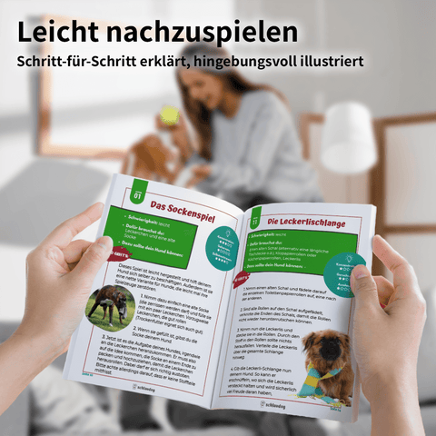 schlaudog's Spelverzameling
