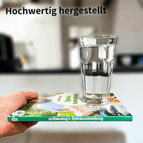 schlaudog's Spelverzameling