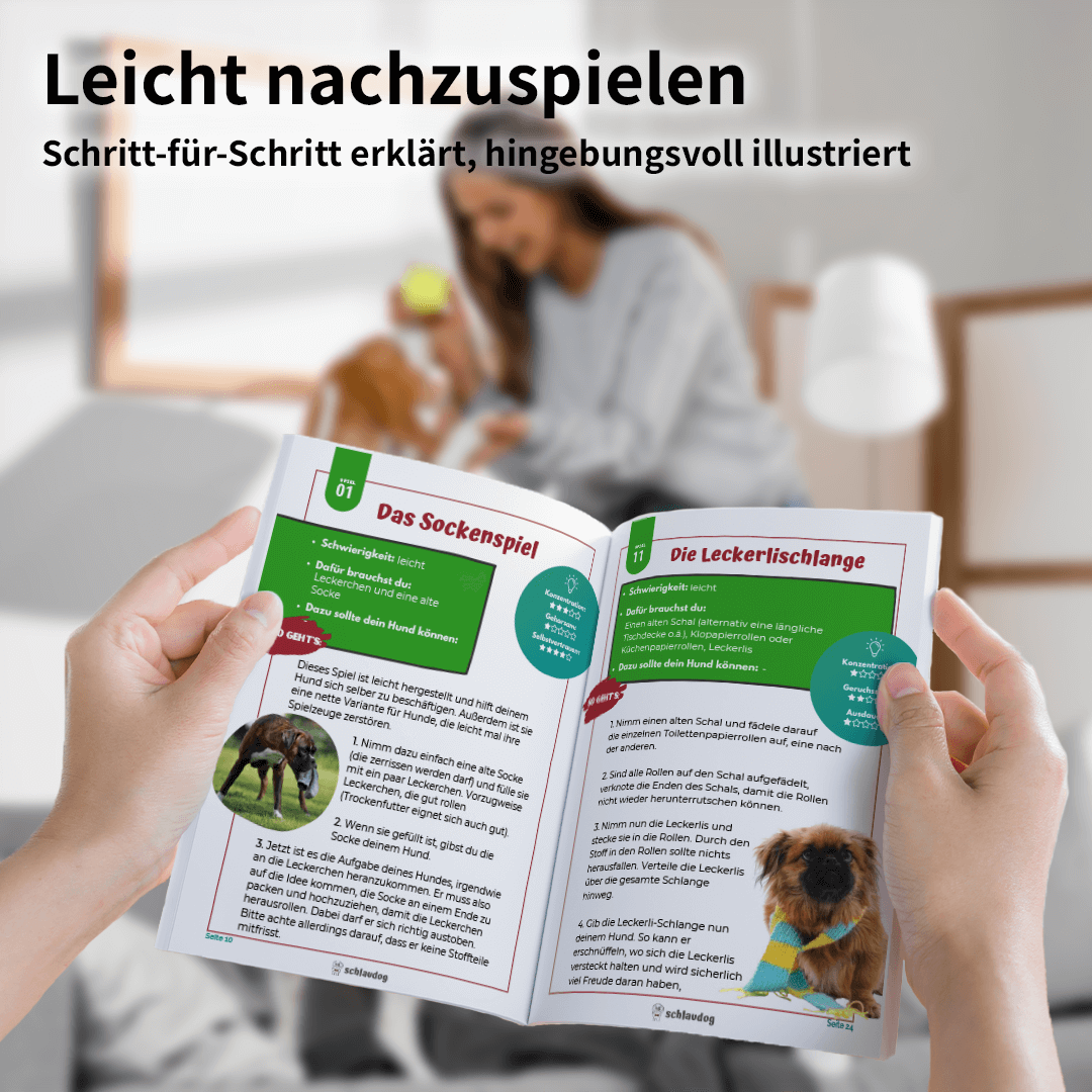 schlaudog Kollektion - artgerechte Hunde-Auslastung in jeder Situation