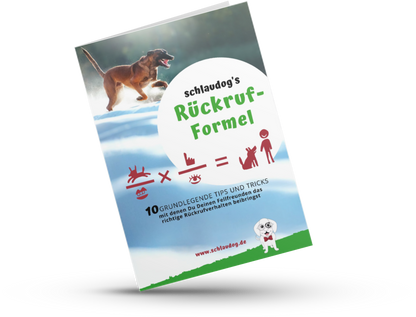 E-Book: schlaudog's Rückruf-Formel